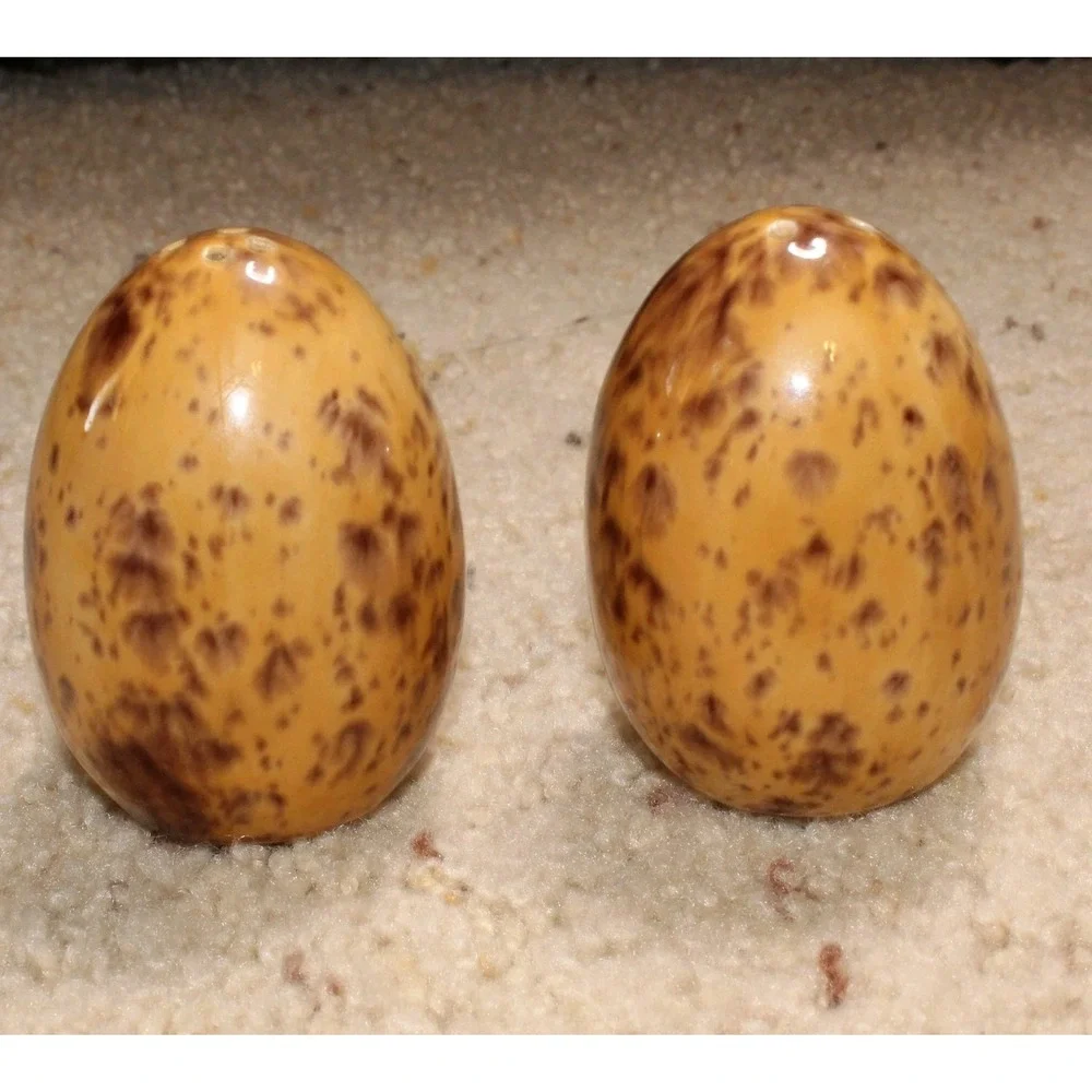 Ceramic Egg Shaped Speckled Salt and Pepper Shakers Set Kitchen Decor
